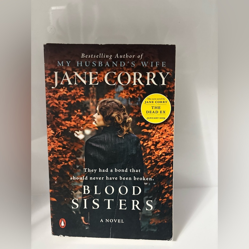 📚 3/$25 📚 Blood Sisters by Jane Corry Book